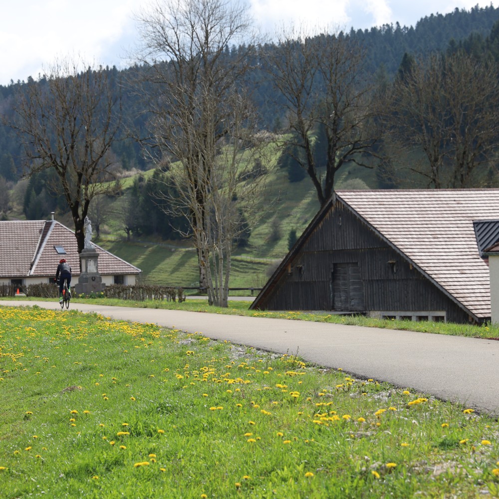 MaisonsduBoisLièvremont une commune authentique et dynamique