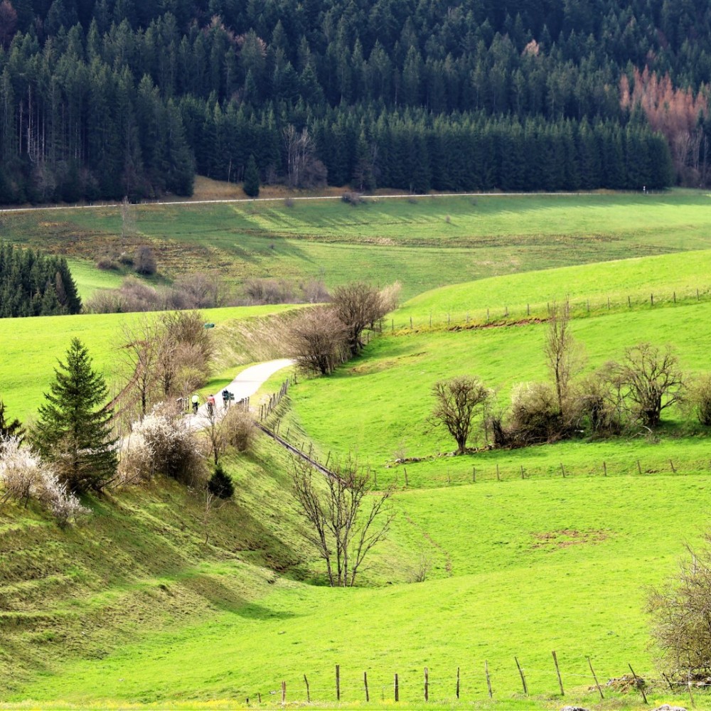 Pays-de-Montbenoît - 4