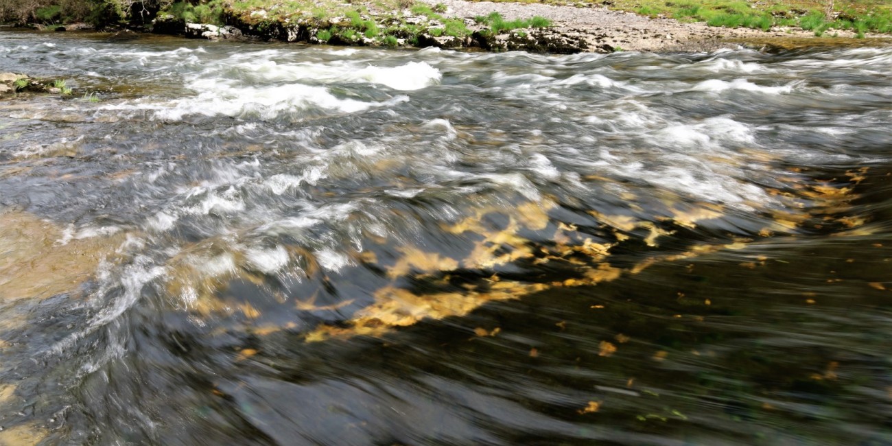 L’enjeu de l’assainissement