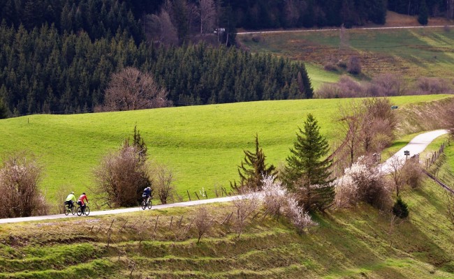 Le tourisme, axe de valorisation du territoire